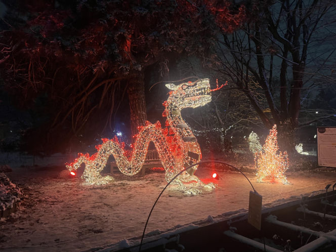 MagicznyBotaniczny 2025/2026 w Warszawie