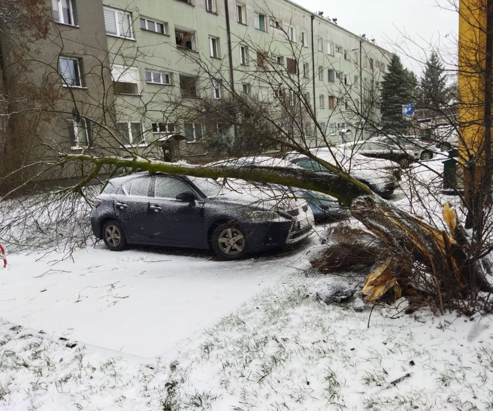  Potężne załamanie pogody w Polsce. Wichury sieją zniszczenie. Nadciąga do nas coś jeszcze