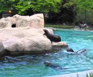 ZOO w Myślęcinku będzie miało nowych mieszkańców!