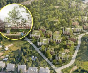 Osiedle wśród zieleni i z widokiem na miasto. To nie deweloperka, lecz mieszkania TBS. Nie wszyscy jednak biją brawo