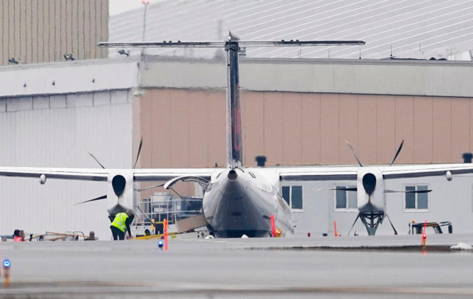 Stewardesa przeżyła katastrofę lotniczą. Ujawniono jej obrażenia