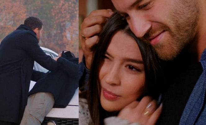 Miłość i nadzieja, odcinek 351. Cihan, Zeynep