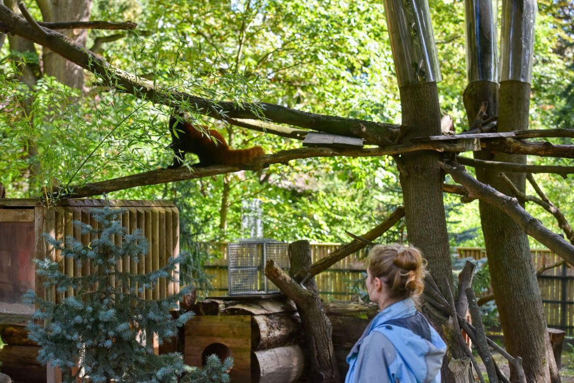 Powitajmy dwóch nowych mieszkańców toruńskiego ogrodu zoobotanicznego!