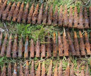 Krasnołąka. Odnaleziono skrzynkę z ponad 400 sztukami amunicji [ZDJĘCIA]