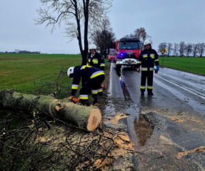 Interwencje Strażaków przy likwidacji szkód spowodowanych przez gwałtowny wiatr i burze