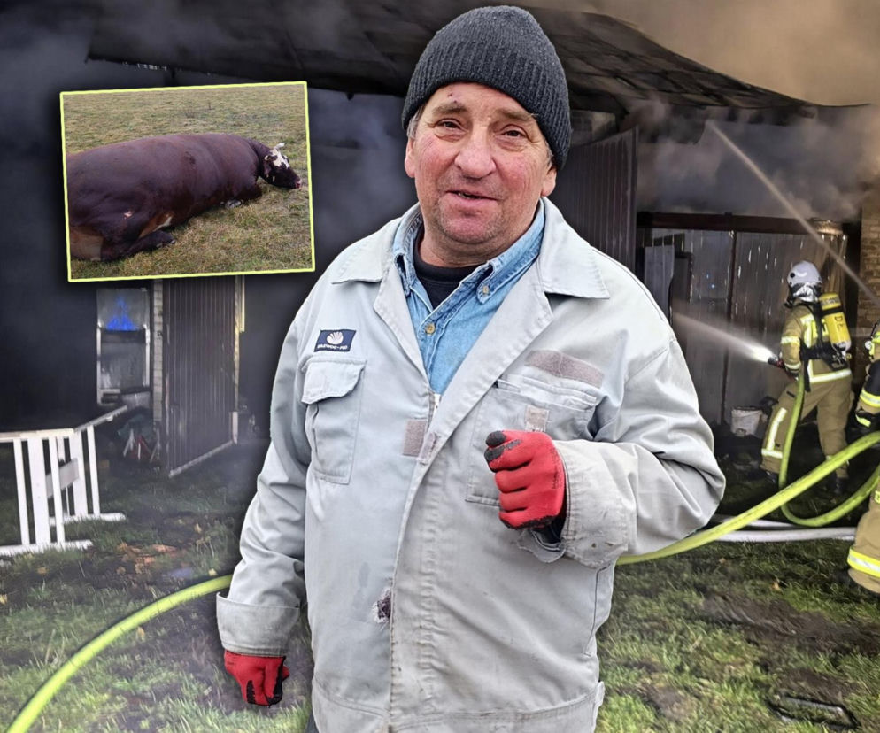 Krowa Diablica zobaczyła ogień i padła na zawał. Jarosław nie może się pozbierać. Miałem ochotę płakać