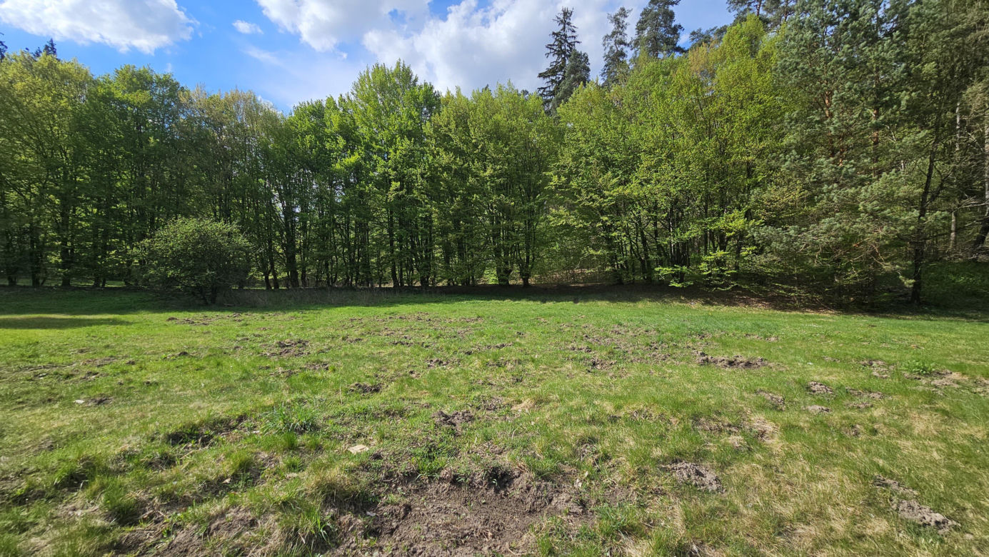 Stadion Leśny w Olsztynie dawniej i dziś. To tam bito rekordy świata w lekkiej atletyce