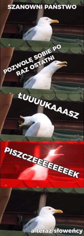 Memy po meczu Polska-Słowenia