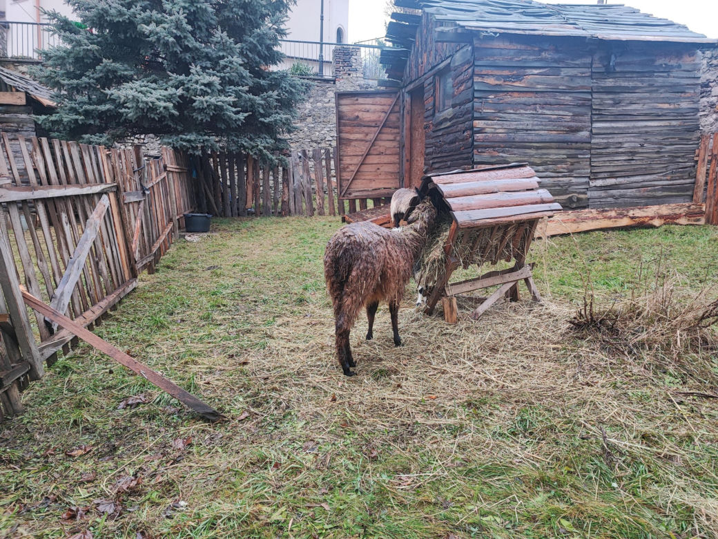 Szopka w Będzinie 
