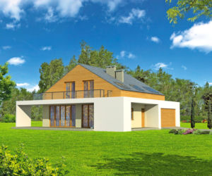 Jedyny – Murator C163