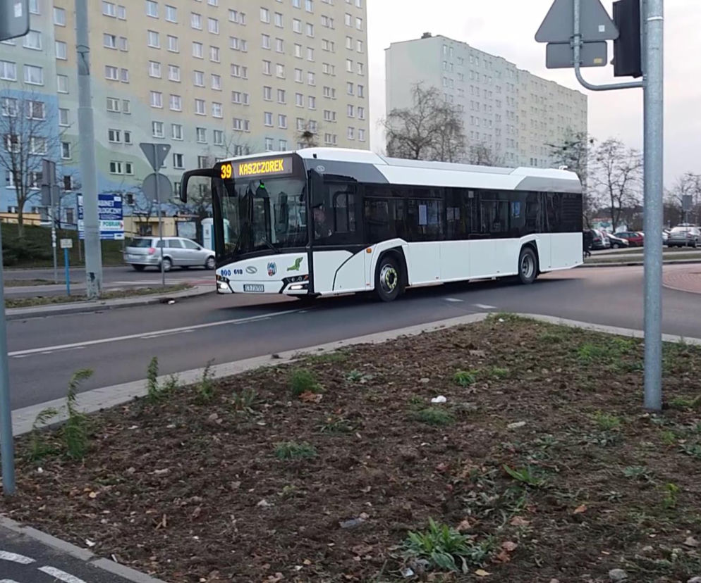 Nowe autobusy w Toruniu