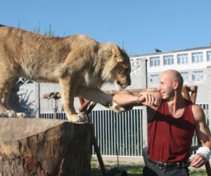 Lew Simba