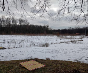 Przeżyła katastrofę hali MTK. Obok skonał jej mąż