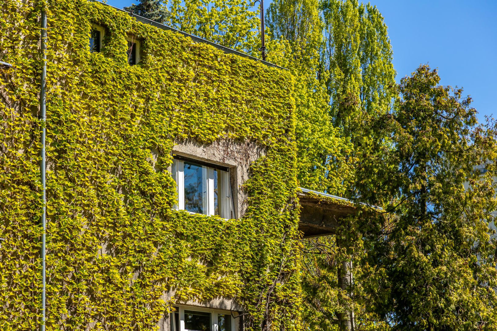 Willa Rakowiczów przy Czarnieckiego 53 w Warszawie