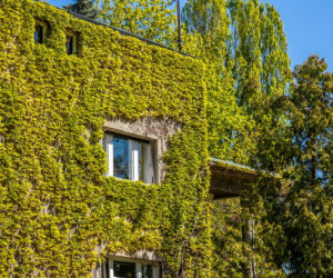 Willa Rakowiczów przy Czarnieckiego 53 w Warszawie