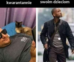 Memy o kwarantannie