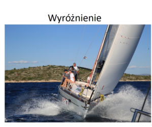 Wyróżnienie - Dariusz Skłodowski