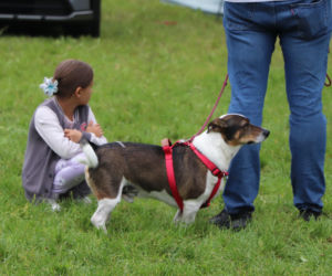 XIII Piknik Przyjaciół Schroniska w Toruniu. Fotorelacja z imprezy