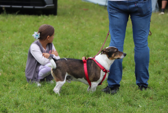 XIII Piknik Przyjaciół Schroniska w Toruniu. Fotorelacja z imprezy