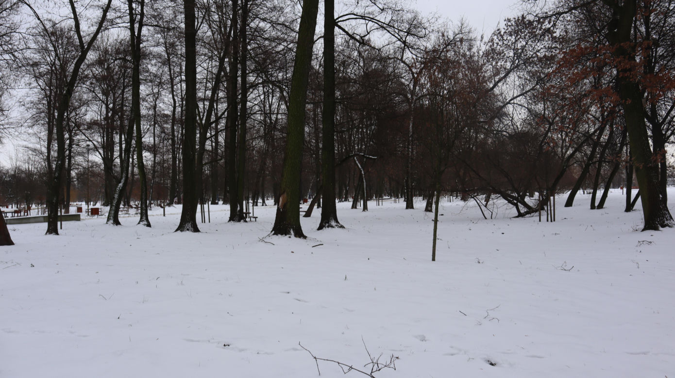 Park Ludowy 