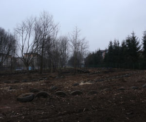 Porządkowanie terenu pod budowę nowej siedziby Archiwum Narodowego