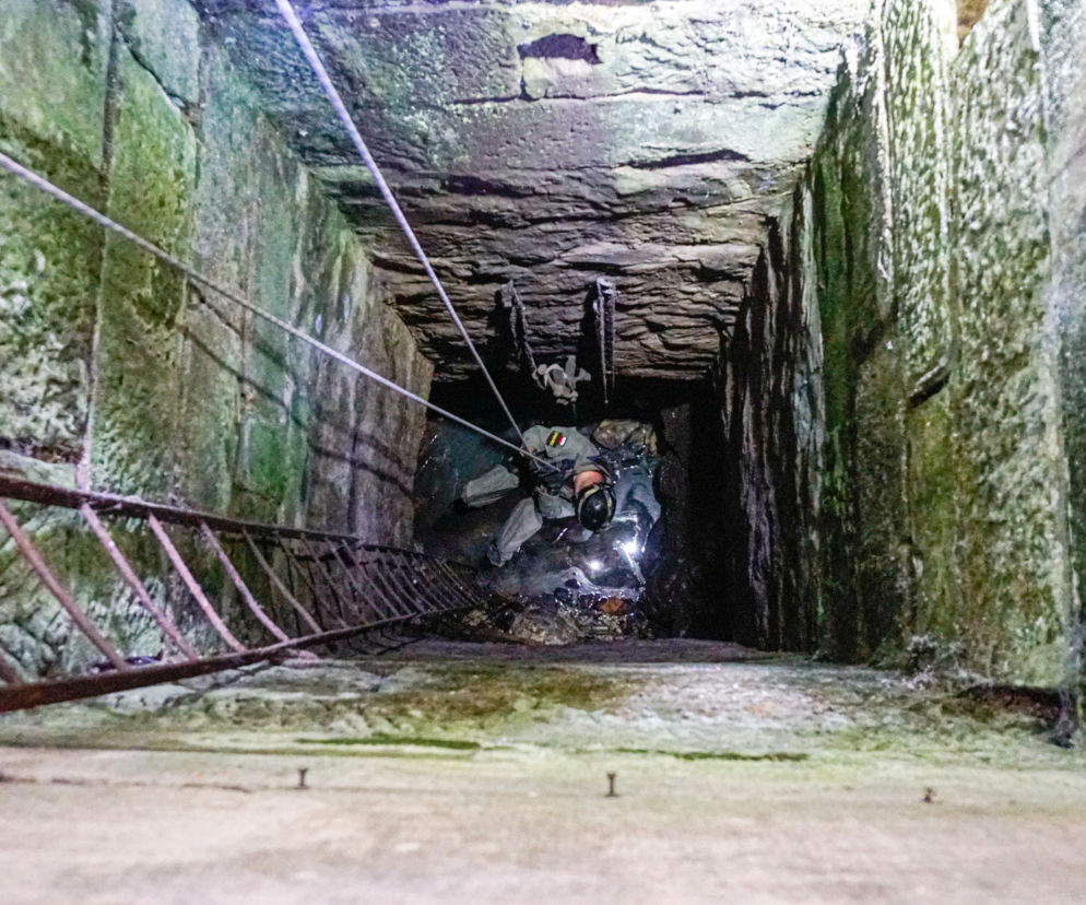grodziec badania
