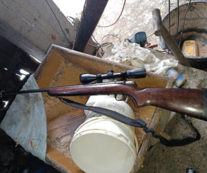 Rolnik z Podlasia bronił swojego bydła. Gdyby nie brat, to by mnie tam zatłukli