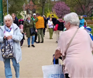 Pchli targ na Pogodnie