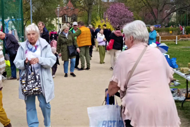 Pchli targ na Pogodnie