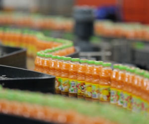 Linia produkcyjna Kubusia w Olsztynku