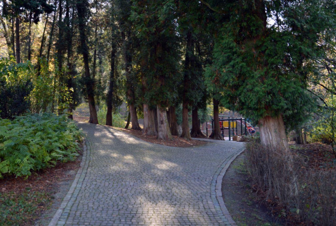 To najpiękniejszy park na Podkarpaciu według AI 