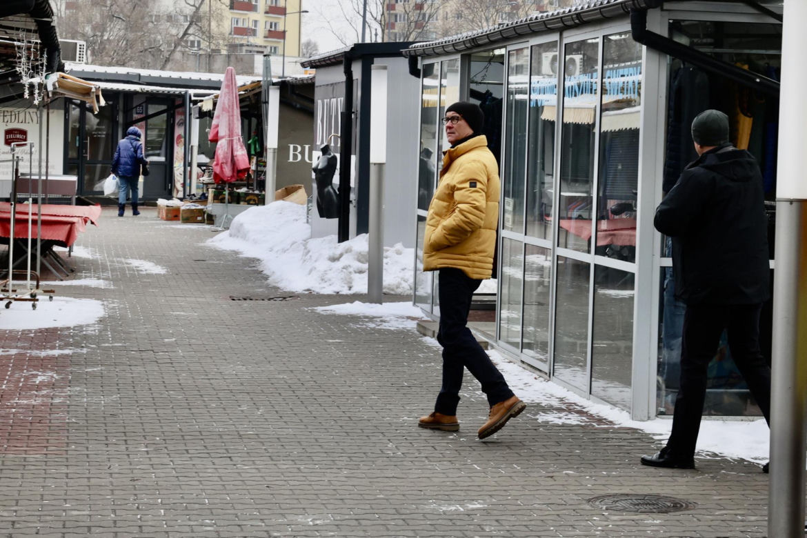 Czarzasty, ptaki
