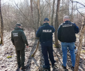 Wnyki odkryte pod Tarnowem. Kłusownikom grozi 5 lat za kratkami