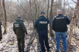 Wnyki odkryte pod Tarnowem. Kłusownikom grozi 5 lat za kratkami