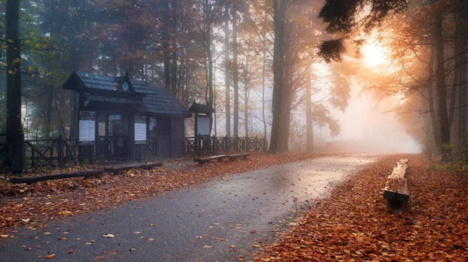 Najpopularniejsze atrakcje Świętokrzyskiego! TOP 20 w 2025 roku