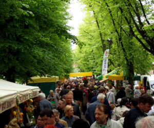 Pamiętajcie o ogrodach