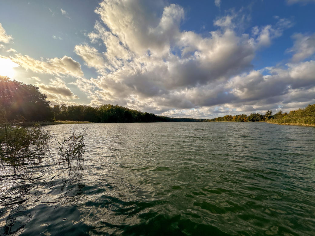 Mazury