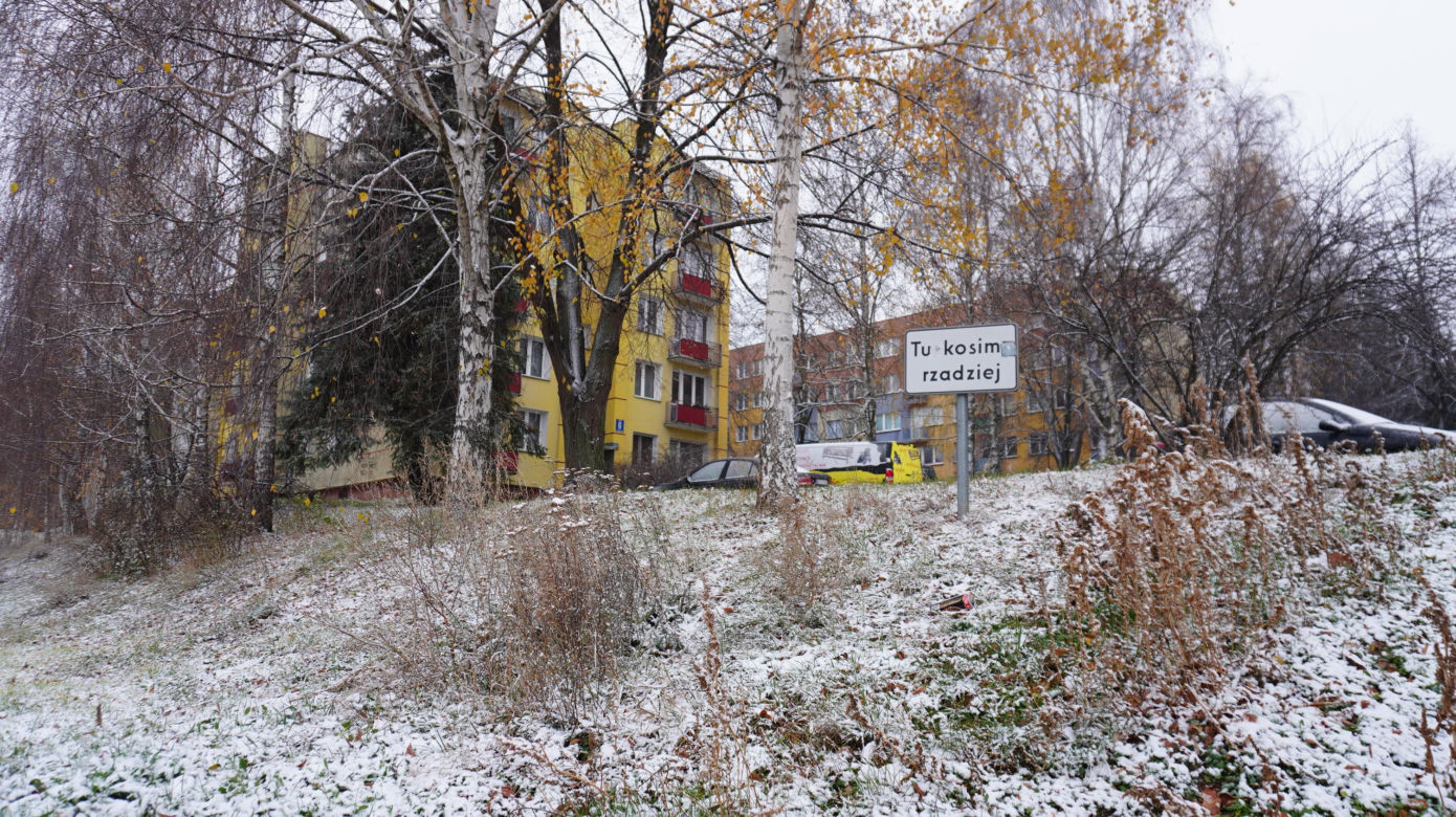 No i przyszła! Zima w Lublinie. Tak wygląda Park Rury