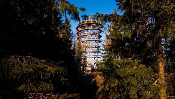 Najwyższa darmowa wieża widokowa w Polsce. Ma 38 metrów i widoki jak z bajki