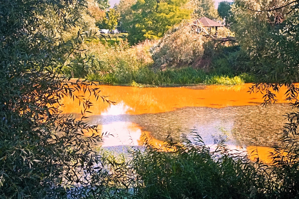 Zanieczyszczone Jezioro Słoneczne