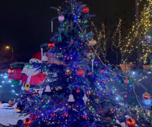 Dom bydgoskich Griswoldów znów rozbłysł. Powieśiliśmy 300 tysięcy lampek. Przygotowywaliśmy jej od lipca!