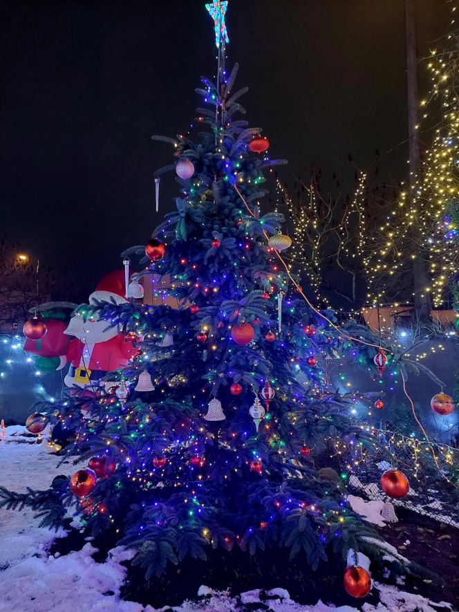 Dom bydgoskich Griswoldów znów rozbłysł. "Powieśiliśmy 300 tysięcy lampek. Przygotowywaliśmy jej od lipca!"