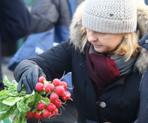 Małgorzata Tusk, Donald Tusk. Zarabia już 140 tys. zł ... to widać!