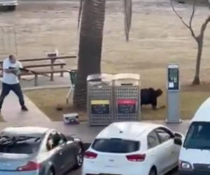 Masowa strzelanina na plaży. Bohater gołymi rękami obezwładnił sprawcę masakry
