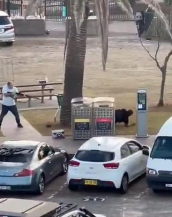 Masowa strzelanina na plaży. Bohater gołymi rękami obezwładnił sprawcę masakry