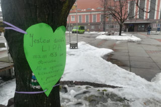 Gliwice: Miasto wycina drzewa przed dworcem PKP. Mieszkańcy protestują [ZDJĘCIA]