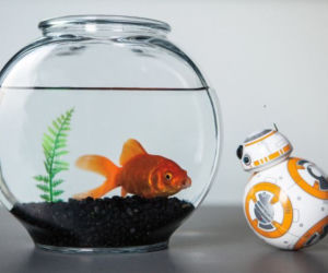 roboty sphero