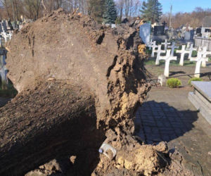 Interwencje Strażaków przy likwidacji szkód spowodowanych przez gwałtowny wiatr i burze