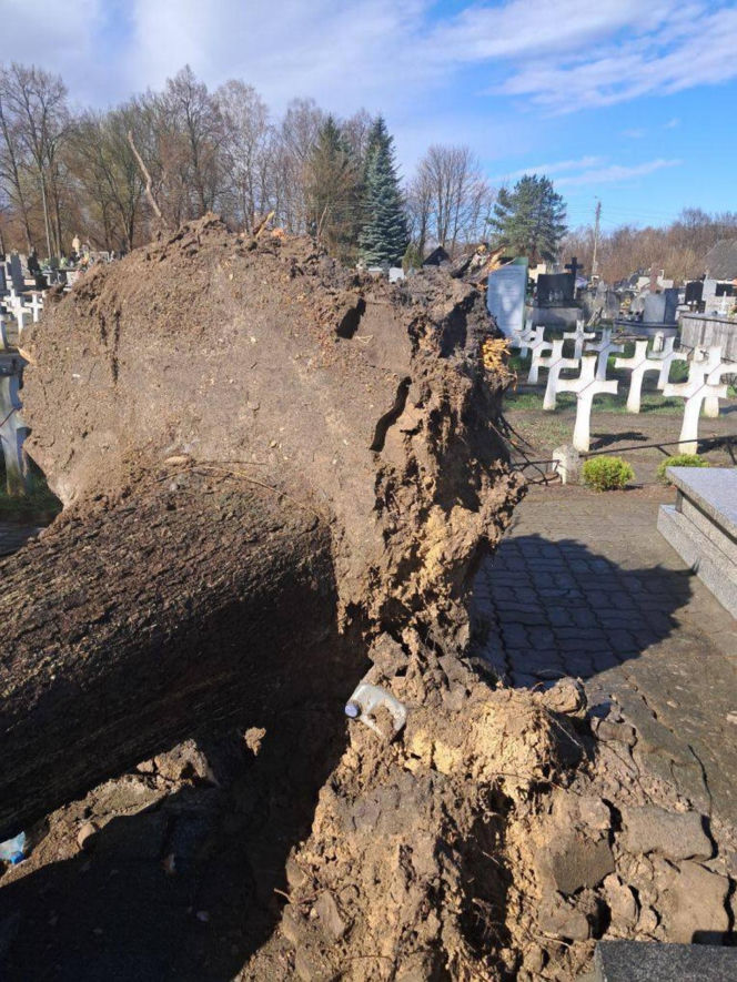 Interwencje Strażaków przy likwidacji szkód spowodowanych przez gwałtowny wiatr i burze