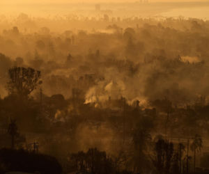 Nagrał tajemnicze słowa pani burmistrz, chodzi o pożary. Czytaj między wierszami